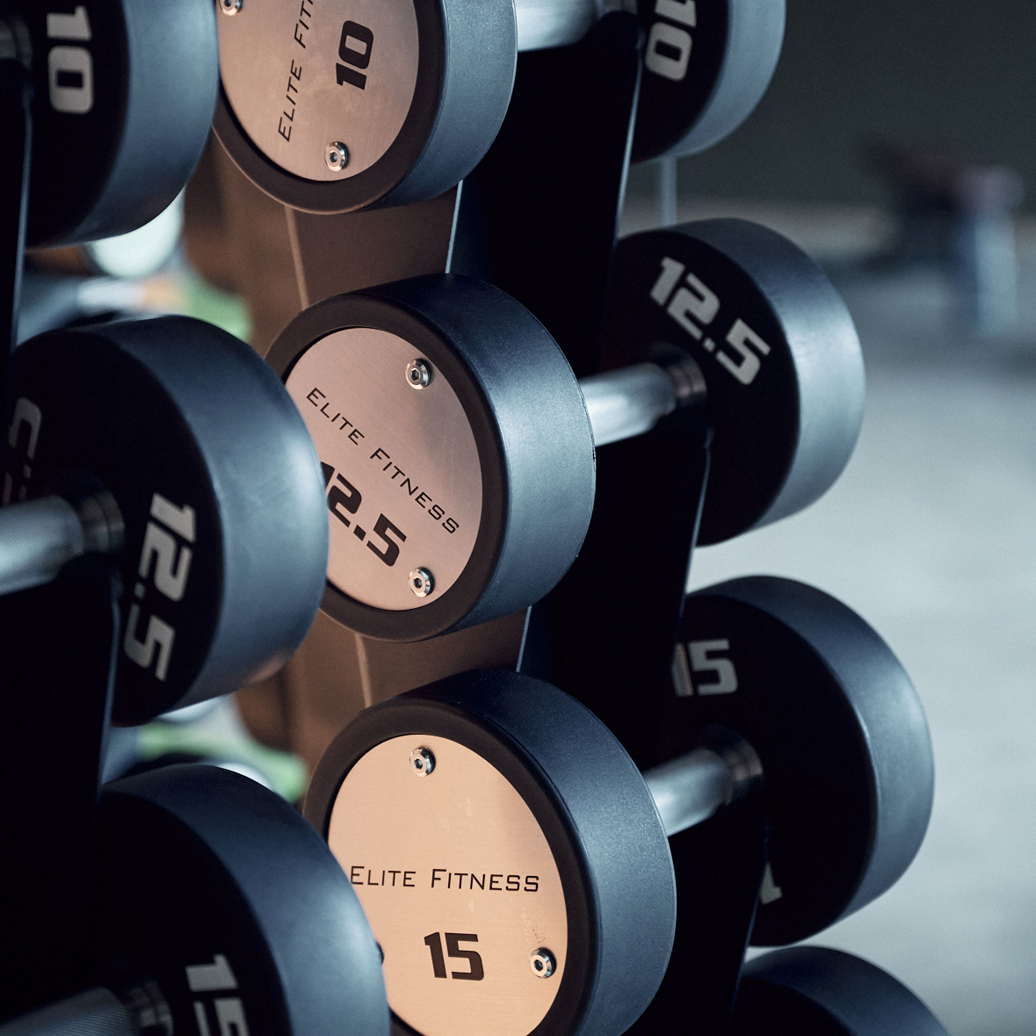Fitness Hanteln