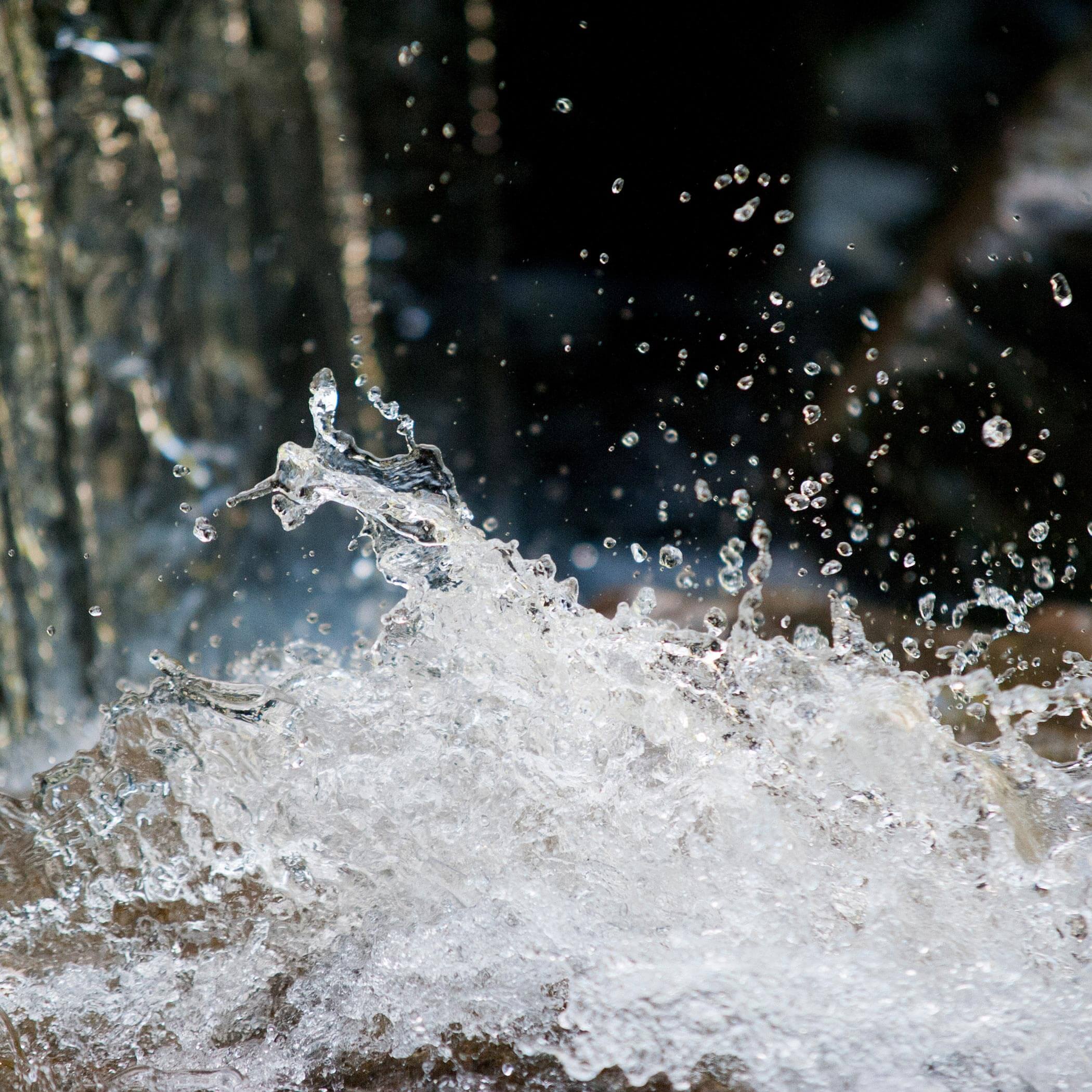 Sprudelndes Quellwasser - OLM Nature Escape