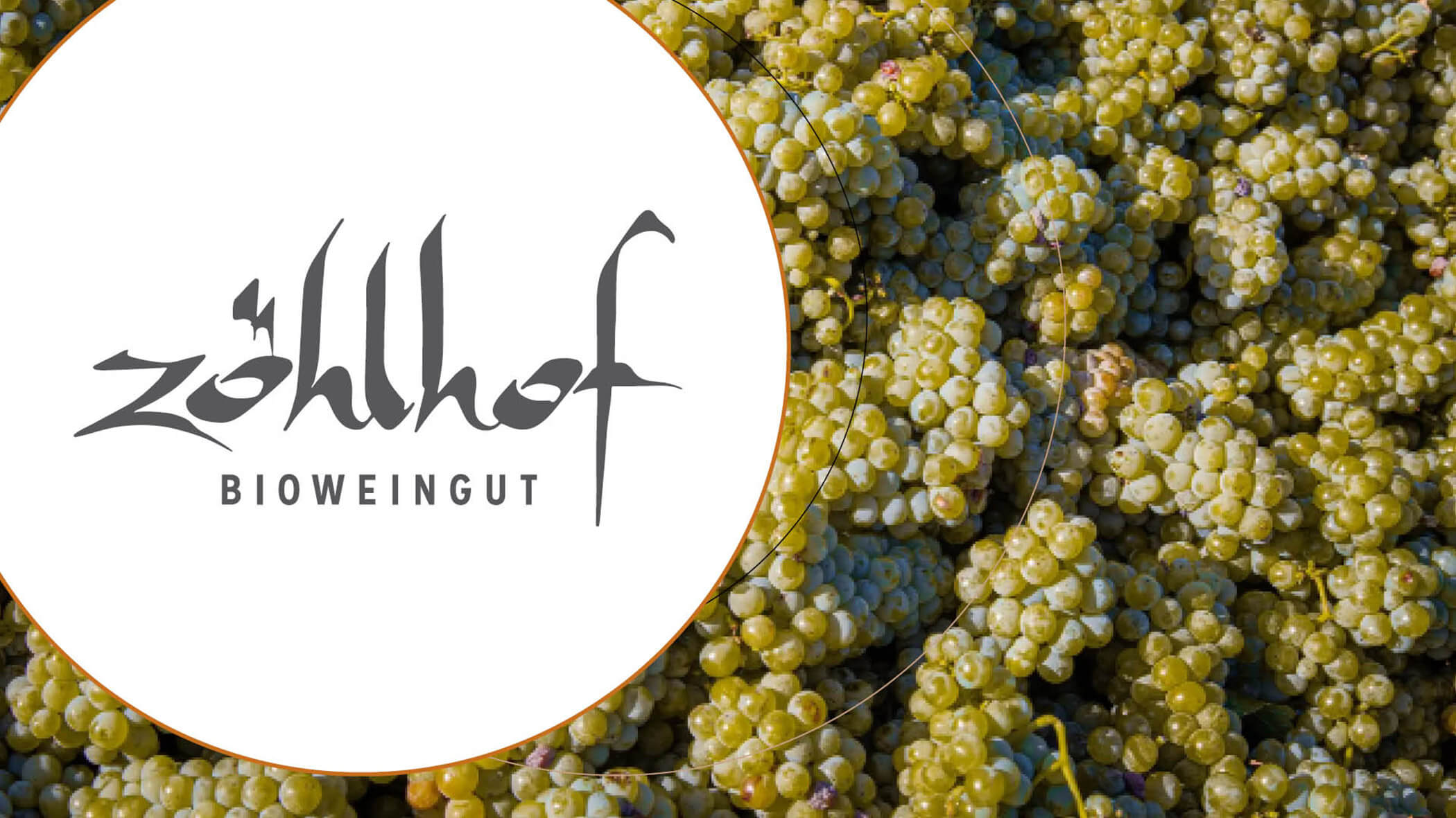 Bio-Weingut Zöhlhof - OLM Nature Escape