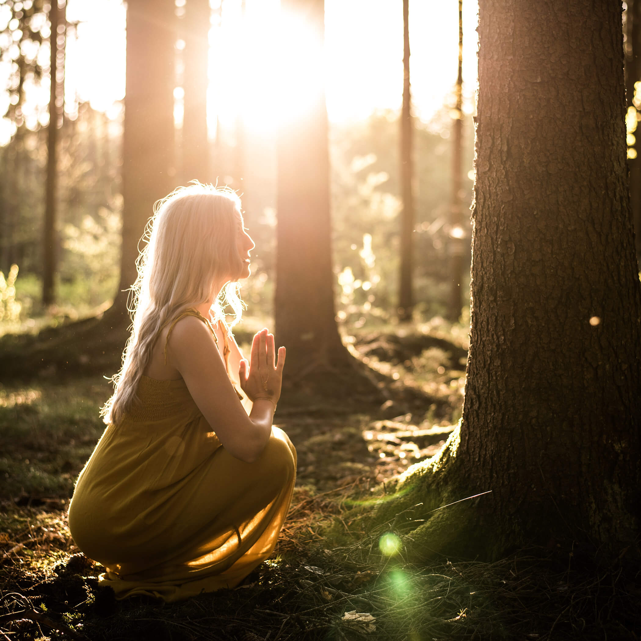 Frau meditiert im Wald - OLM Nature Escape