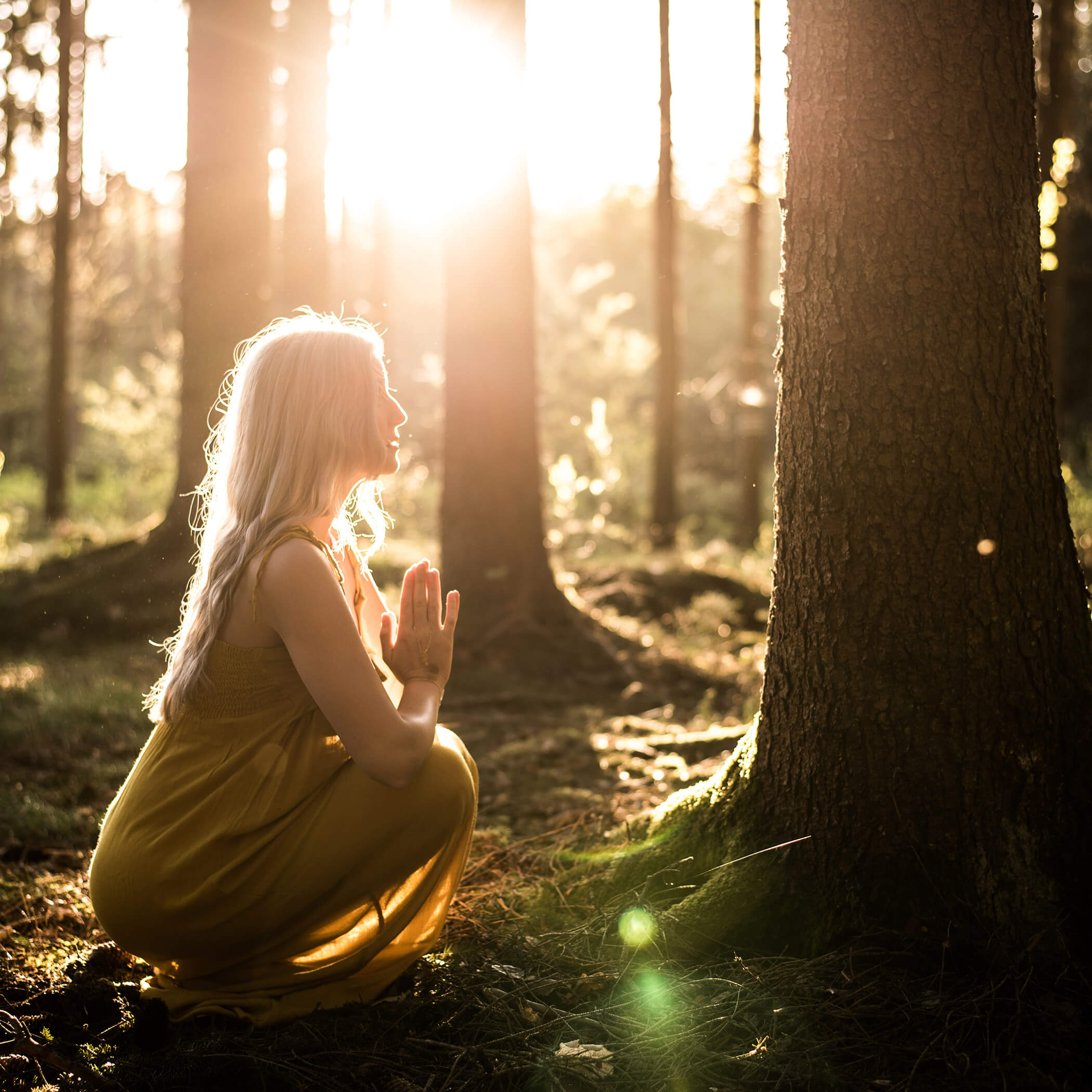 Frau macht Waldyoga - OLM Nature Escape