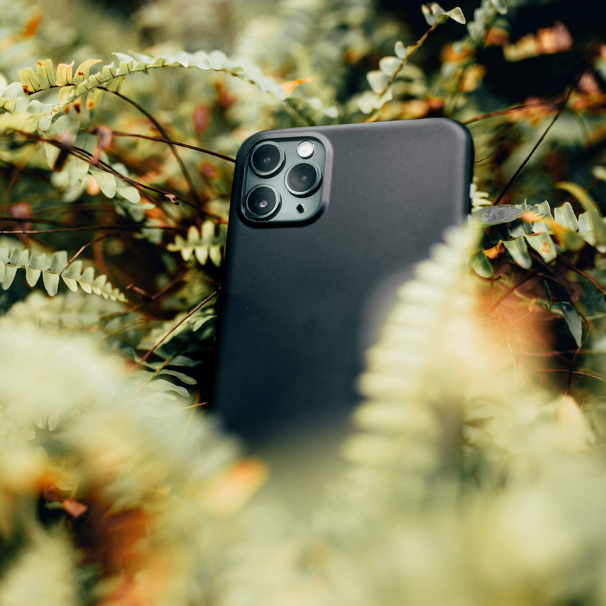 Smartphone liegt in einem Farn - OLM Nature Escape