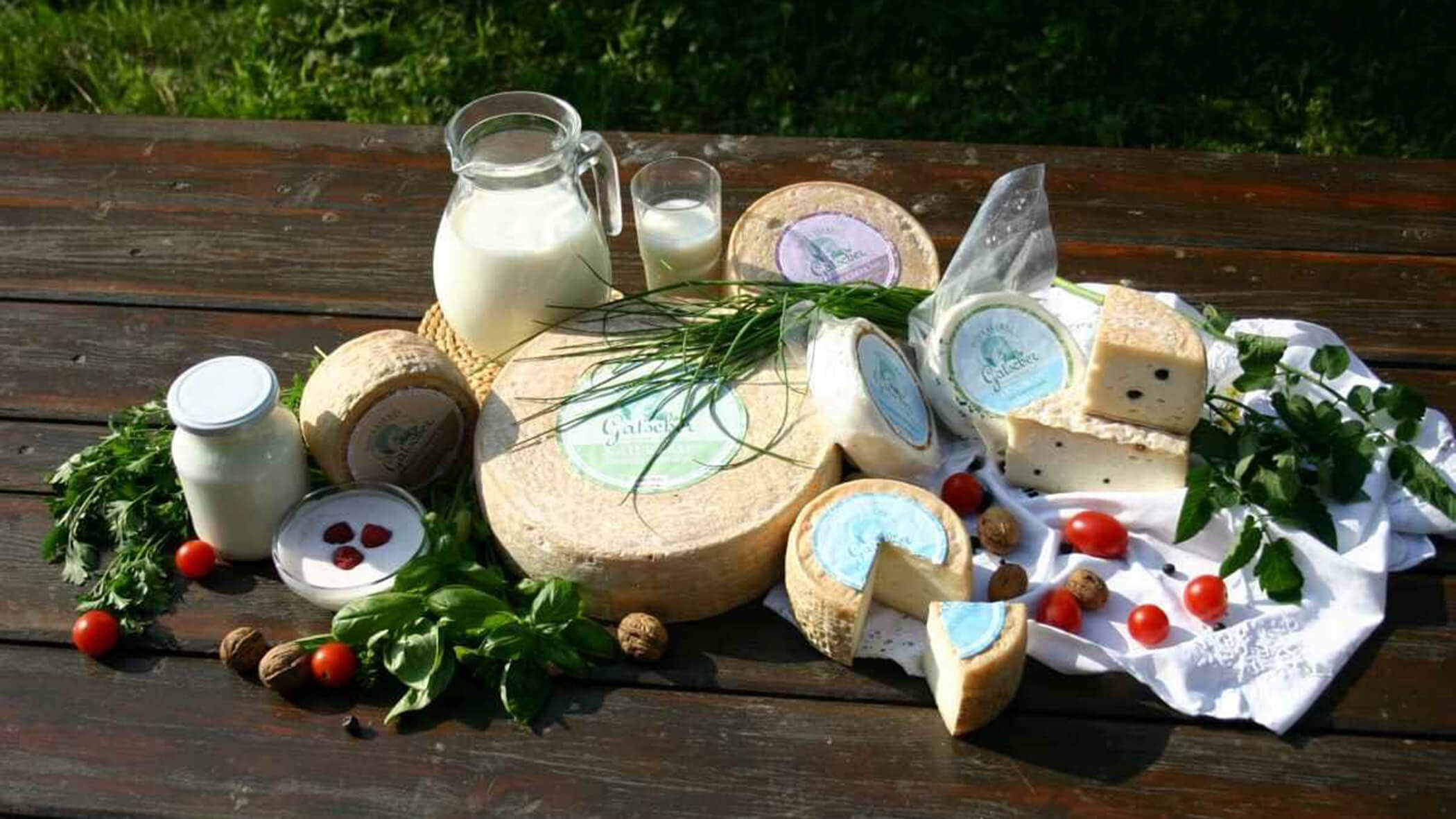 Vari formaggi del caseificio Gatscher - OLM Nature Escape