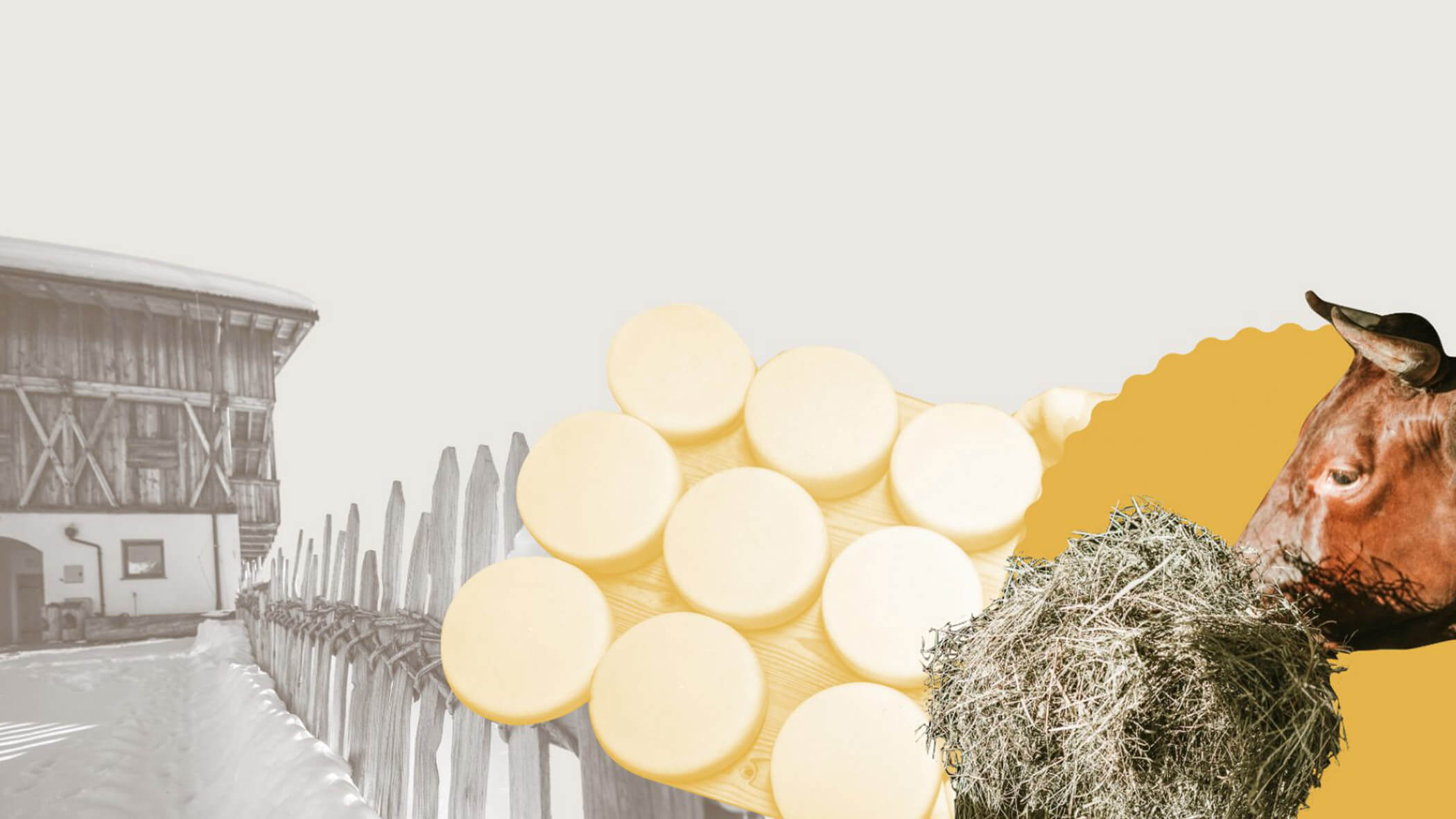 Caseificio Hochgruberhof - OLM Nature Escape