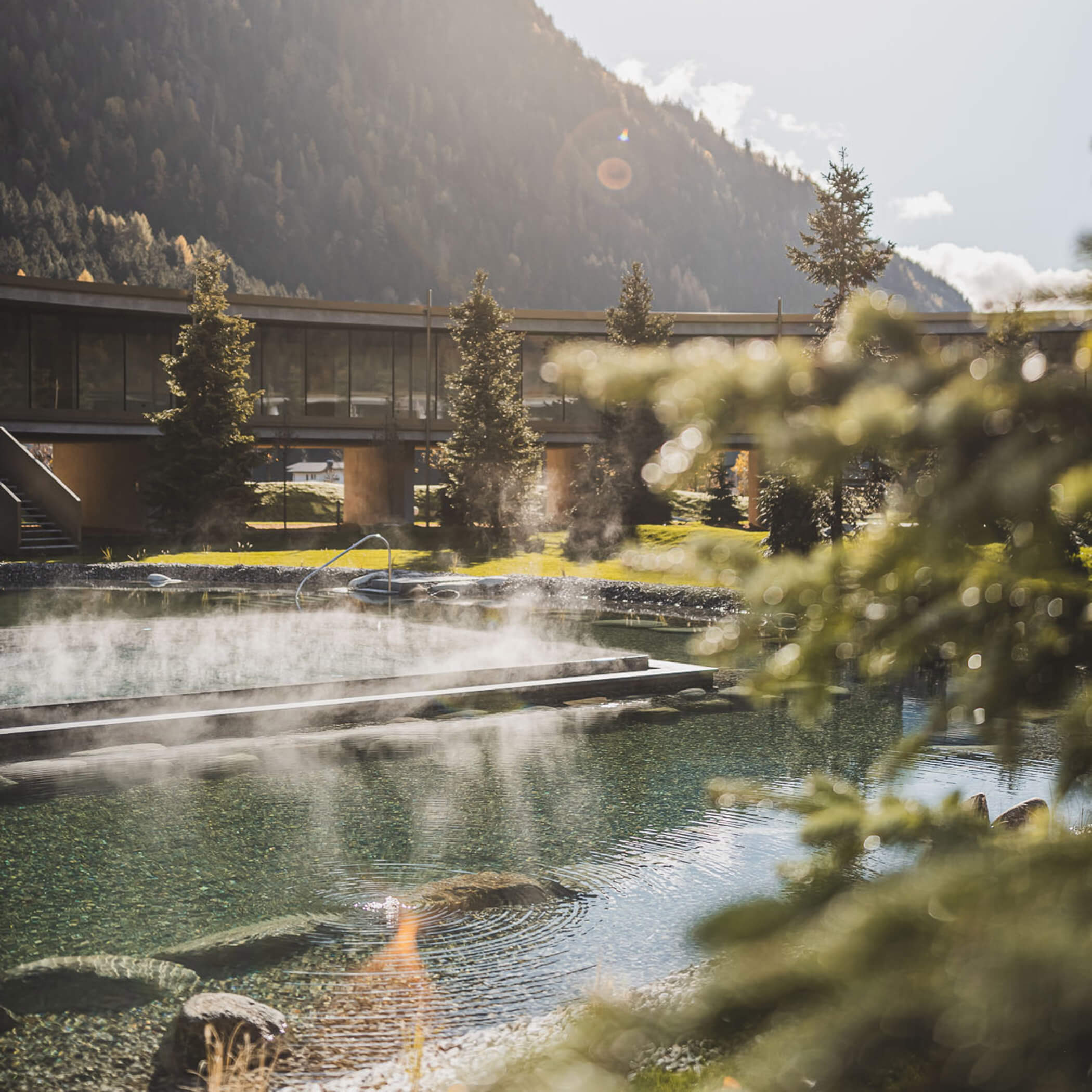 Innenhof mit Pool, Naturbadeteich und Garten - OLM Nature Escape